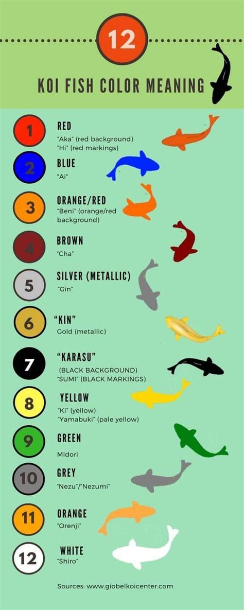 fish meaning